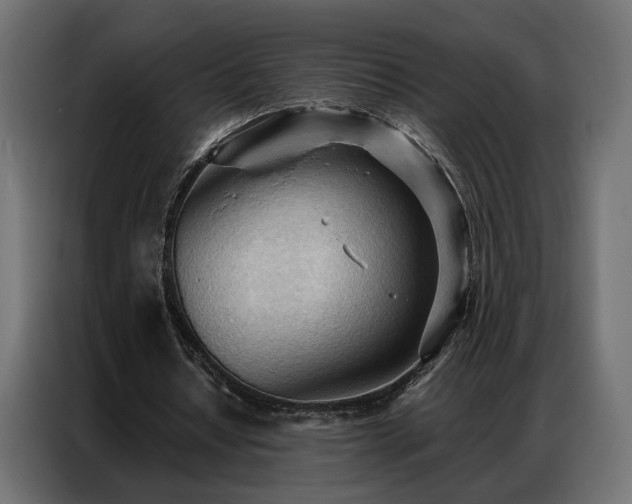 X0000086900434200704161321