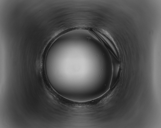 X0000086900435200704161321