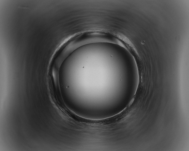 X0000086900436200704161321