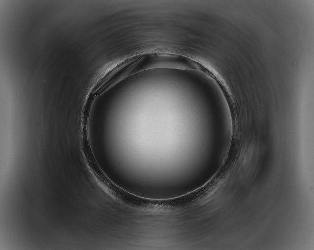 X0000086900437200704161321