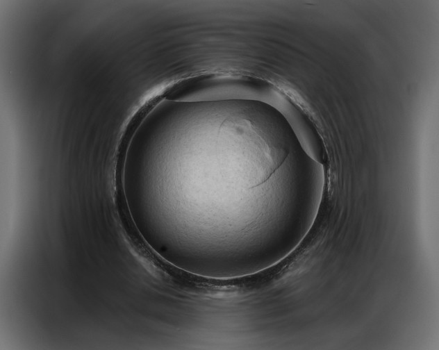 X0000086900438200704161321