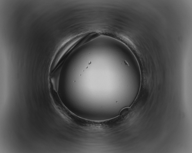 X0000086900439200704161321