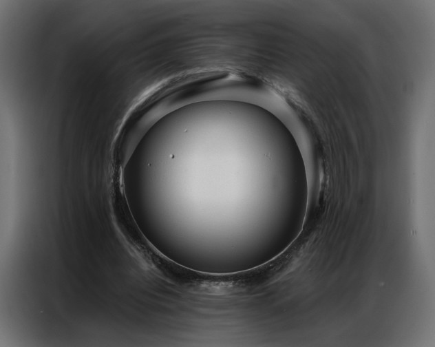 X0000086900440200704161321