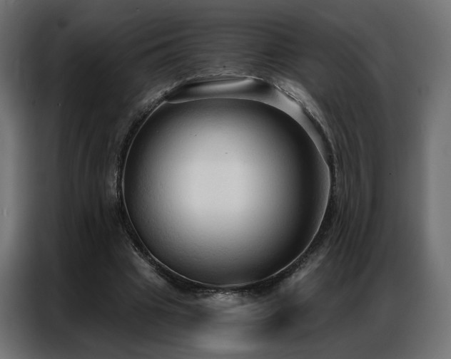 X0000086900441200704161321