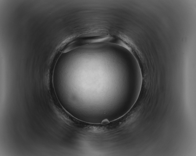 X0000086900442200704161321