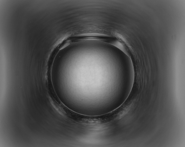 X0000086900443200704161321