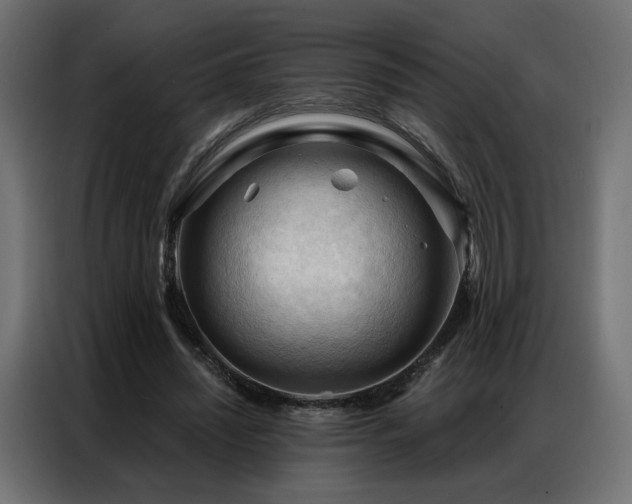 X0000086900444200704161321
