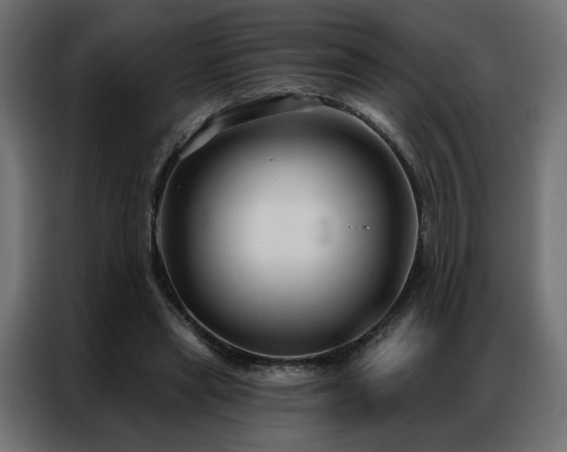 X0000086900445200704161321