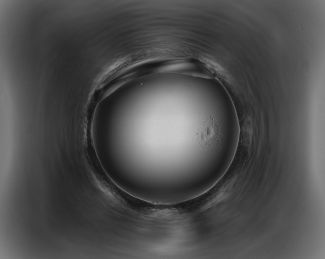 X0000086900446200704161321
