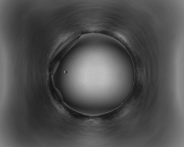 X0000086900447200704161321