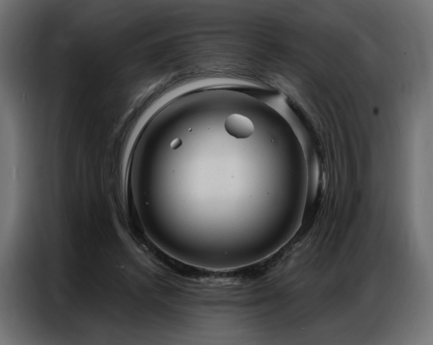 X0000086900448200704161321