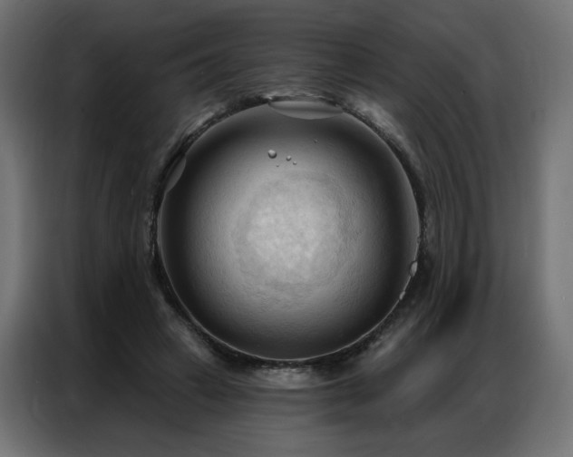 X0000086900449200704161321