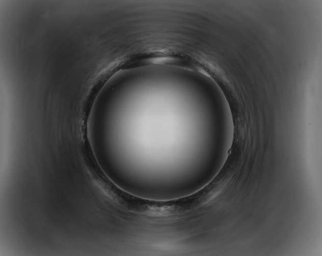 X0000086900450200704161321