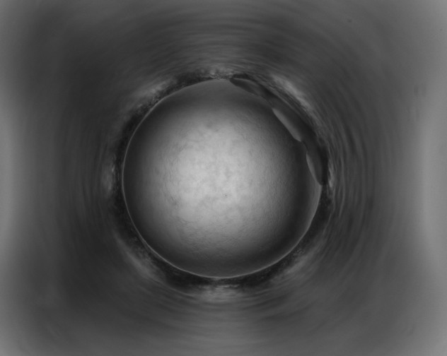 X0000086900451200704161321