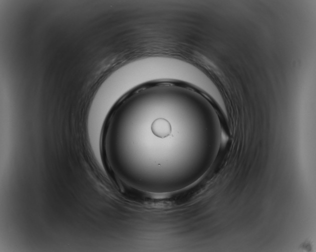 X0000086900452200704161321