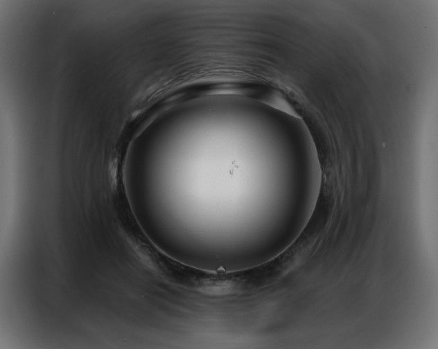 X0000086900454200704161321