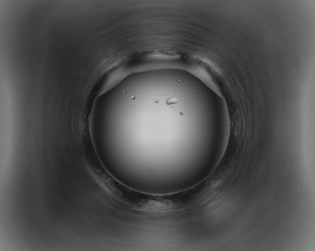 X0000086900455200704161321