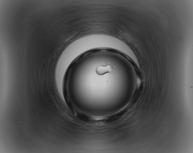X0000086900456200704161321