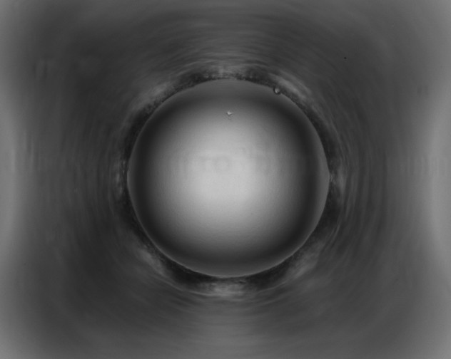 X0000086900462200704161321