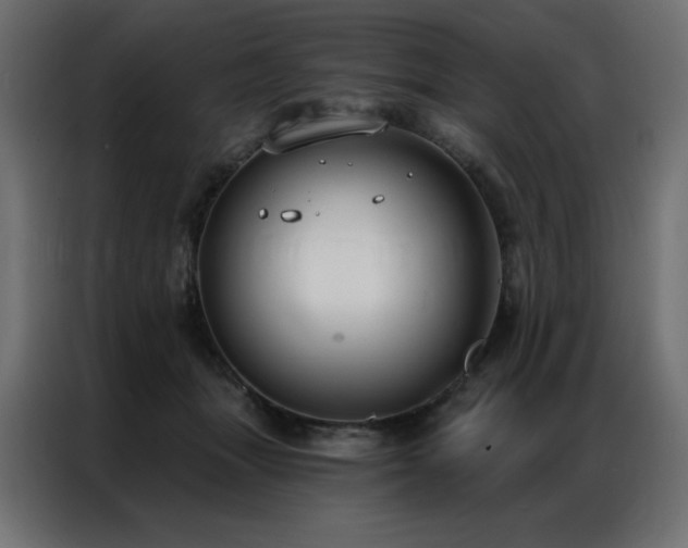 X0000086900463200704161321