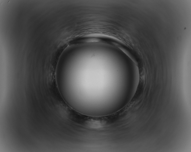 X0000086900464200704161321