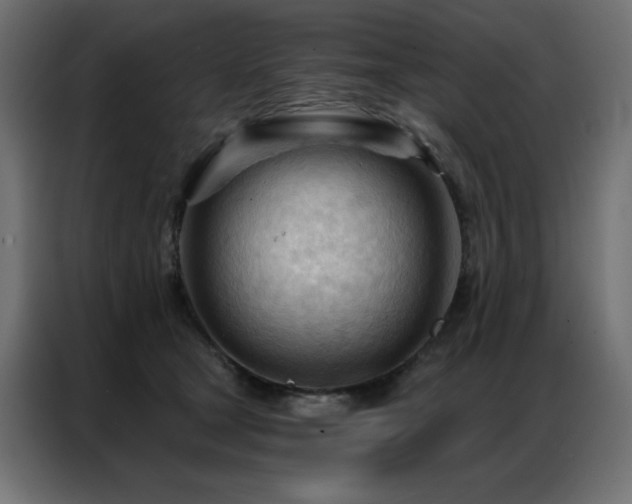 X0000086900465200704161321