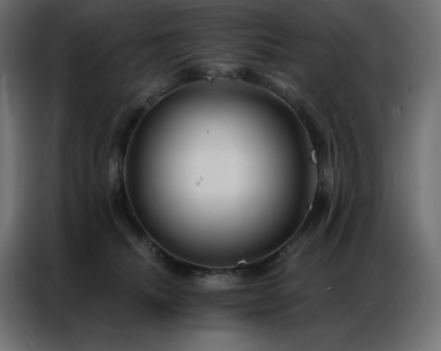 X0000086900468200704161321