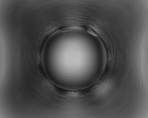 X0000086900469200704161321