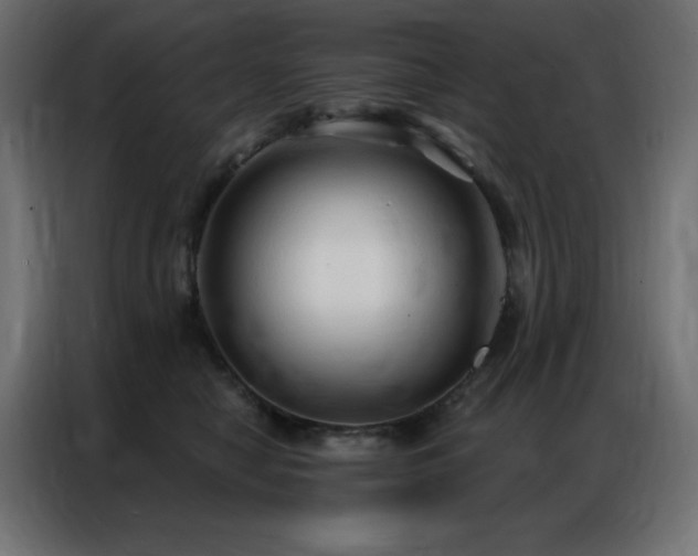 X0000086900470200704161321