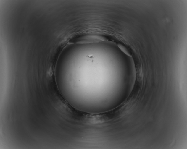 X0000086900472200704161321