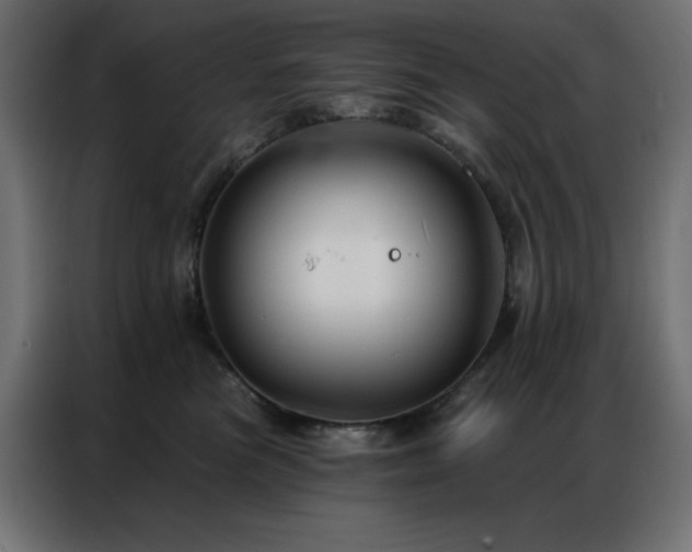 X0000086900473200704161321