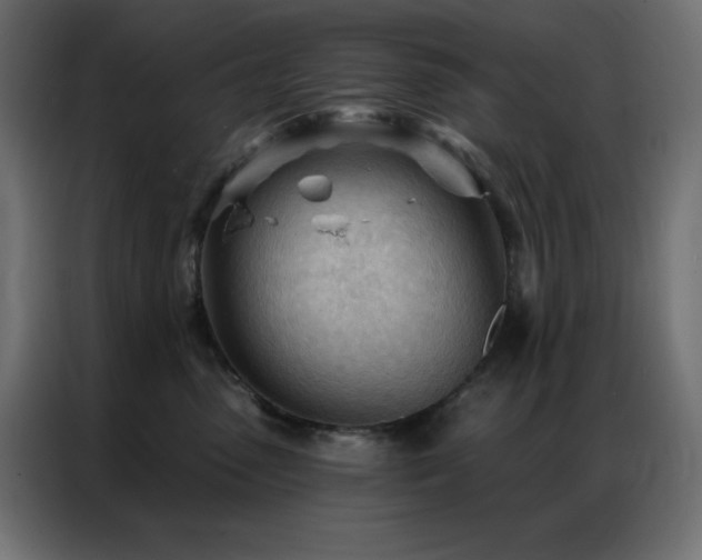 X0000086900475200704161322