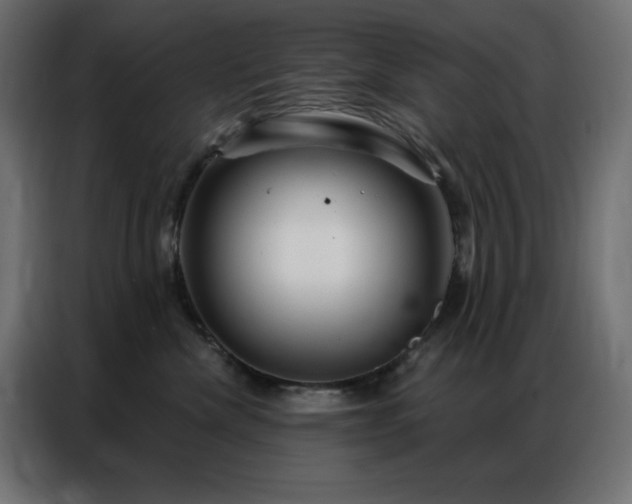 X0000086900476200704161322