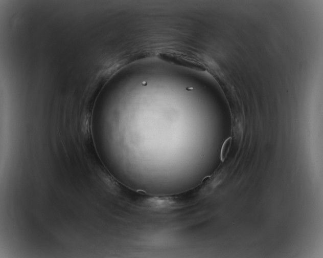 X0000086900477200704161322