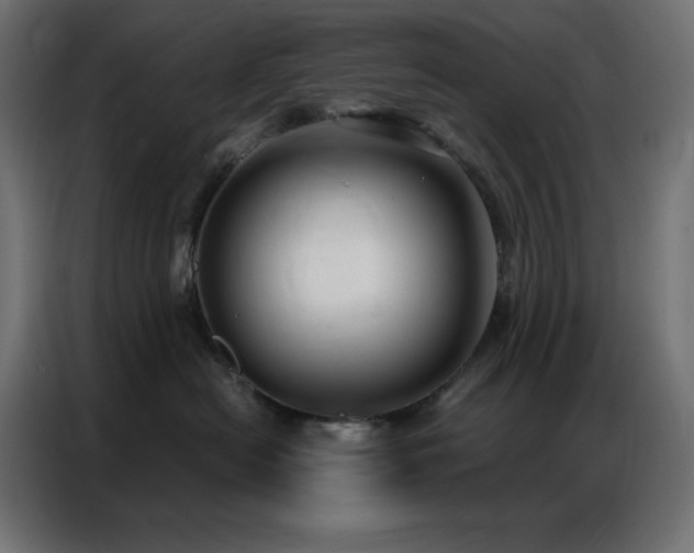 X0000086900478200704161322