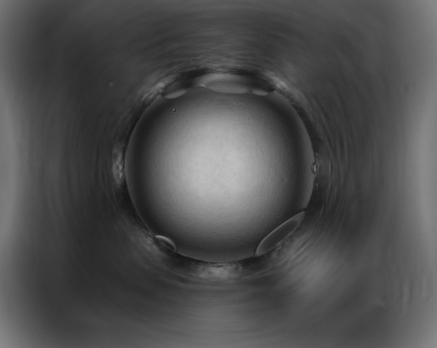 X0000086900479200704161322