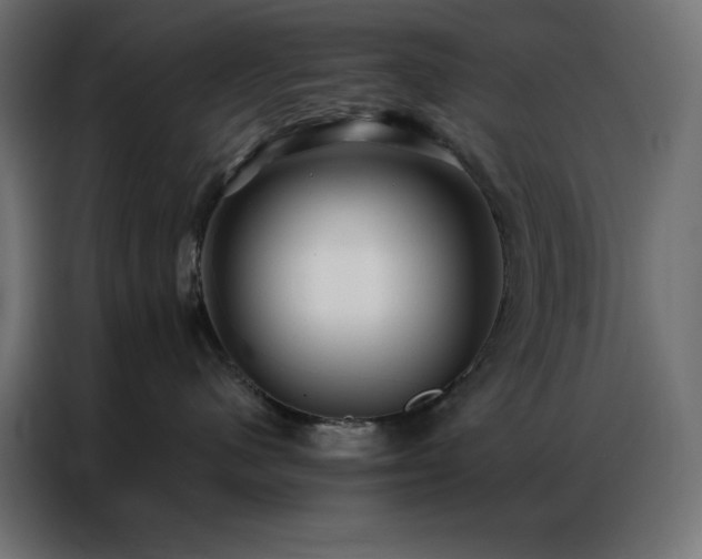 X0000086900480200704161322