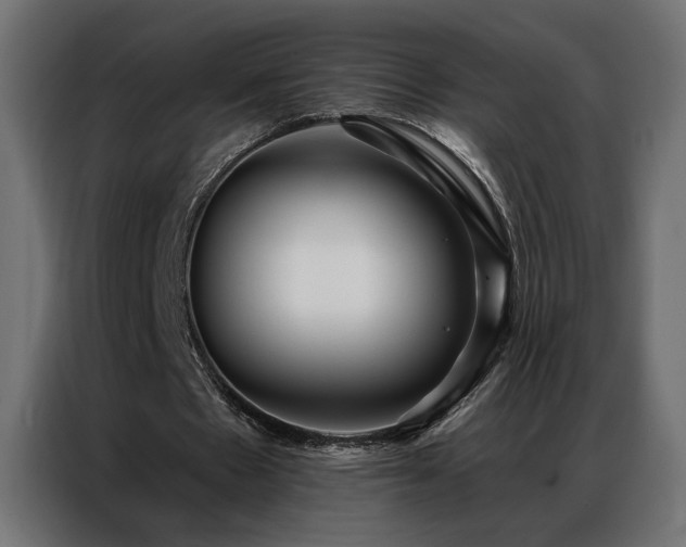 X0000086900481200704161321