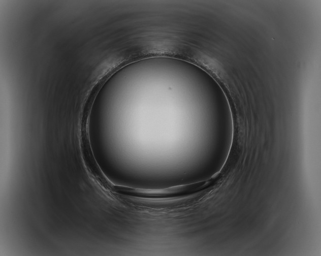 X0000086900482200704161321
