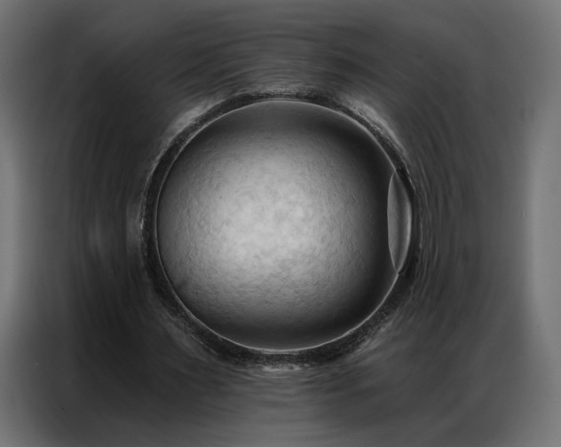 X0000086900483200704161321