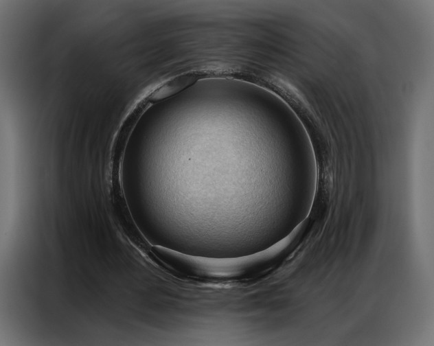 X0000086900484200704161321