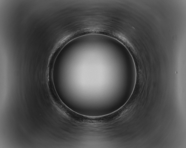 X0000086900486200704161320