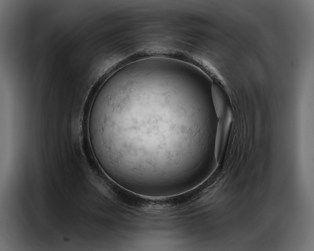 X0000086900487200704161320