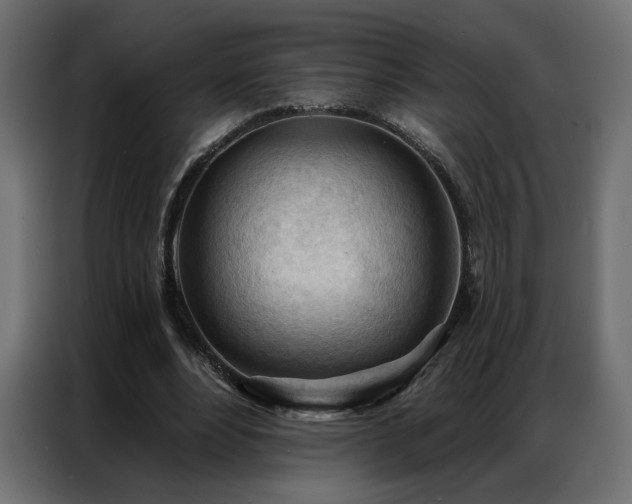 X0000086900488200704161320