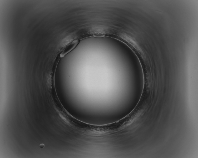 X0000086900489200704161320
