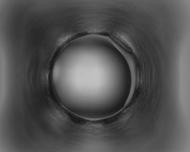 X0000086900491200704161320