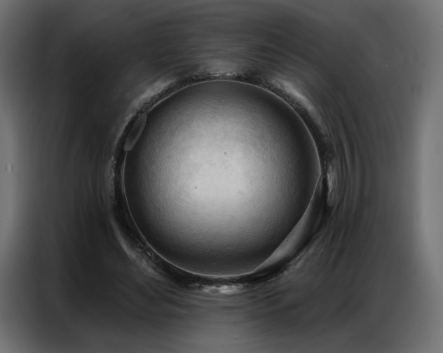 X0000086900492200704161320