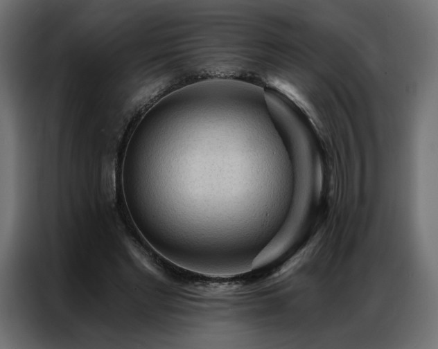 X0000086900493200704161320