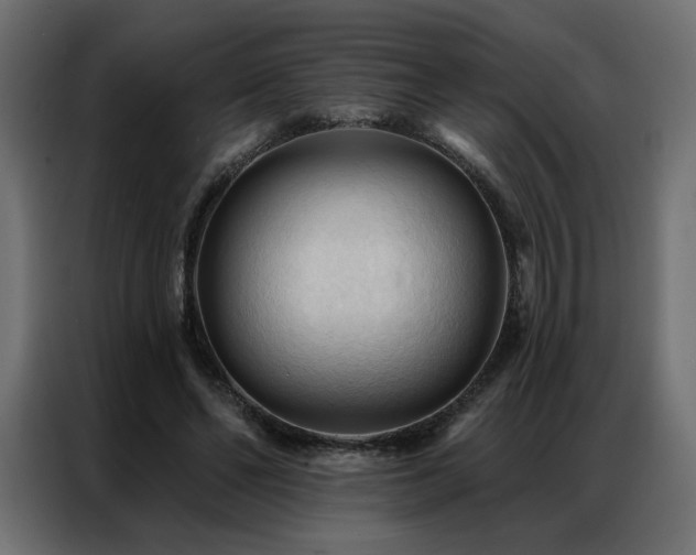 X0000086900494200704161320