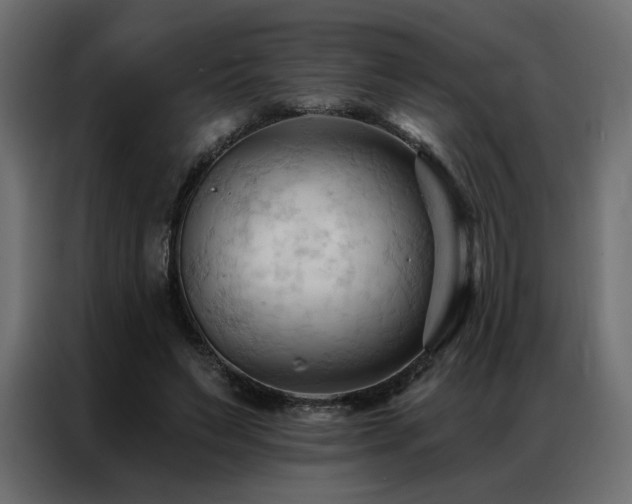 X0000086900495200704161320